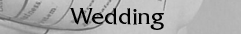 Our Wedding Plans